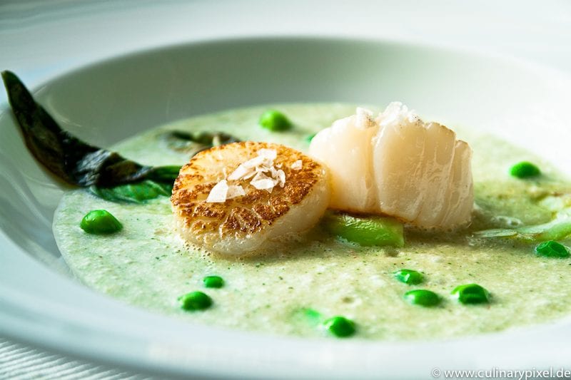 Jakobsmuscheln mit Kokos-Minz-Gazapcho, Erbsen & Pak Choi