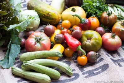 Waldgärtner CSA Gurken, Tomaten, Zucchini