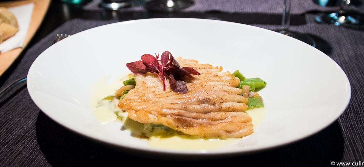 Marais Soir Rochenflügel