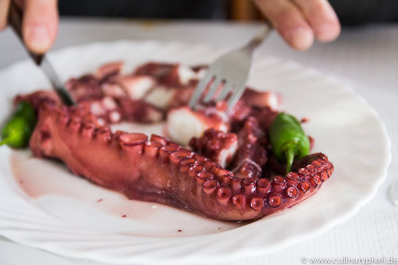 Pulpo El Drago El Guincho, Teneriffe