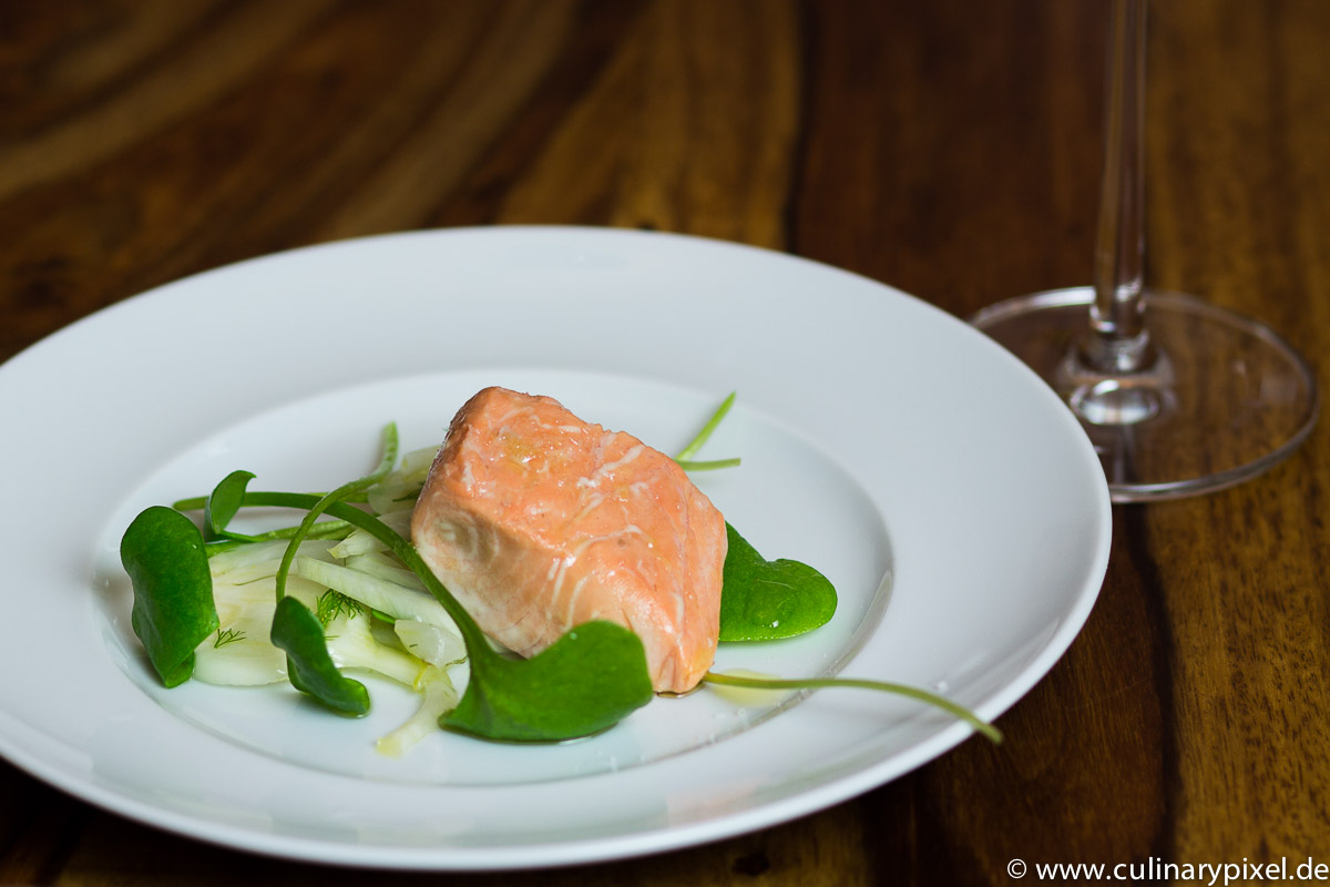 sous vide Lachs mit Sauternes und Fenchelsalat