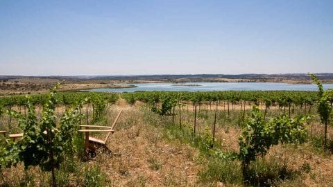 Terrasse mit Blick bei Esporão, Alentejo