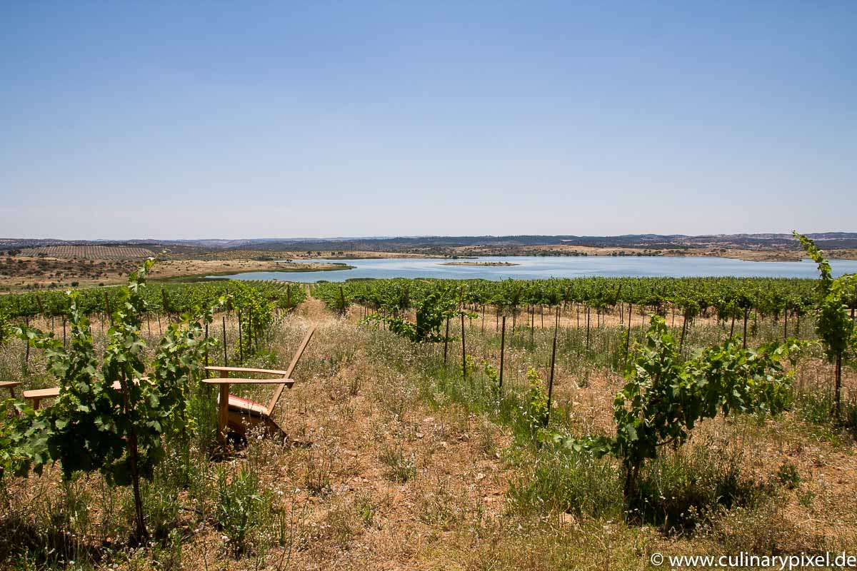 Terrasse mit Blick bei Esporão, Alentejo