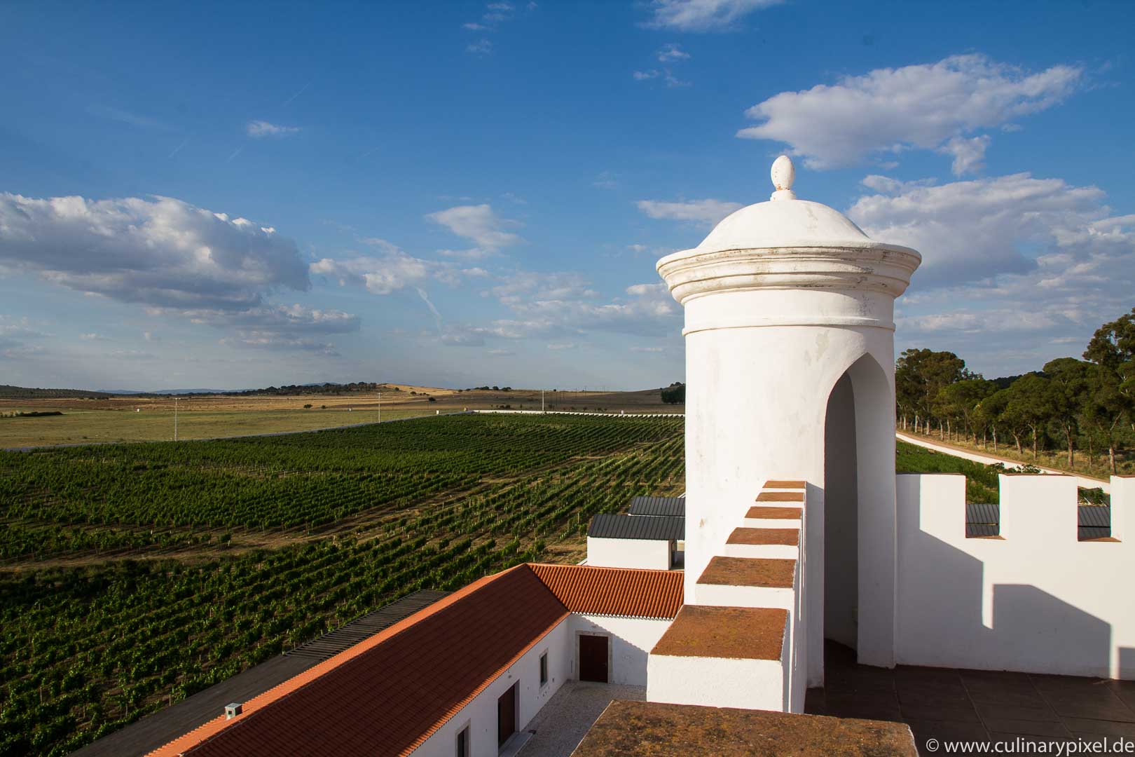 Torre de Palma Weinhotel Alentejo Portugal
