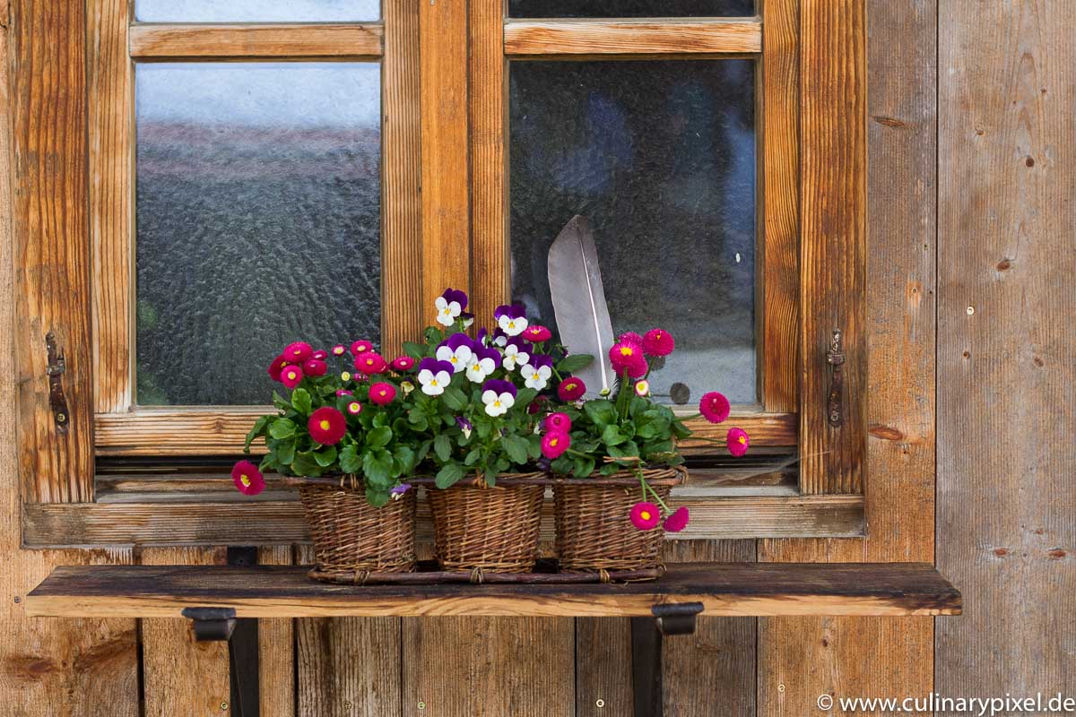 Berghütte - Fenster mit Blumen