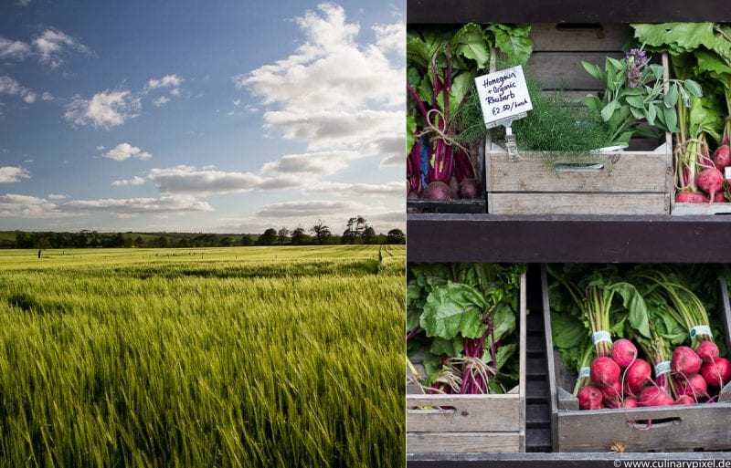 Kerrygold Ballymaloe Litfest 2015