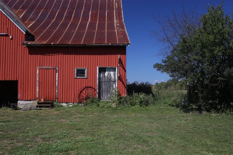 Farms Prince Edward County