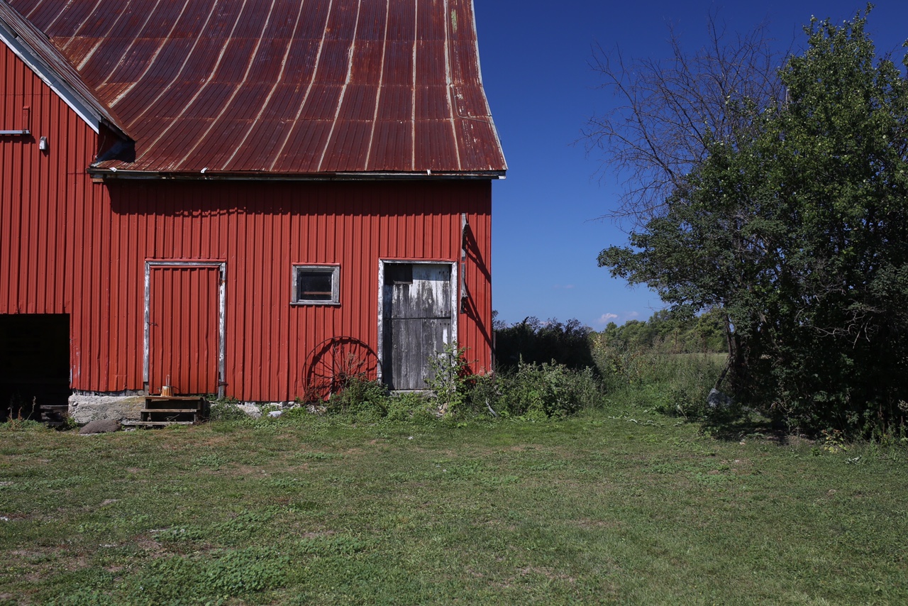 Farms Prince Edward County