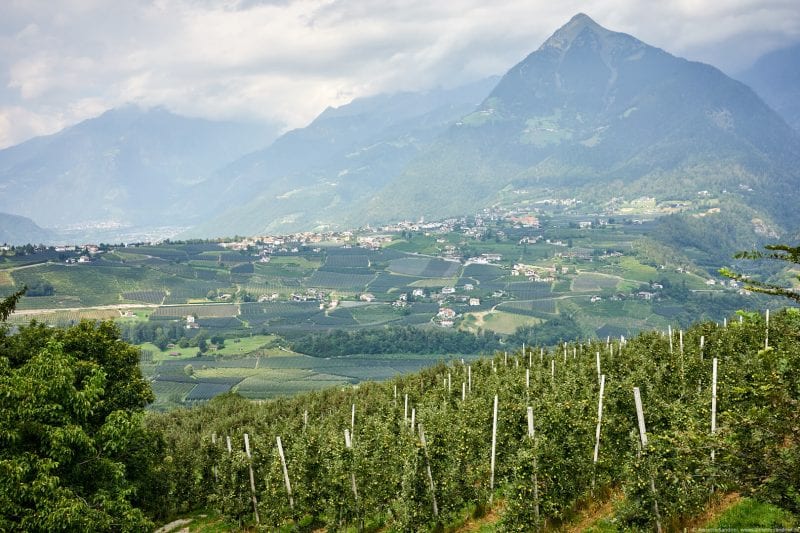 Hotel Der Weinmesser, Schenna, Meran, Südtirol