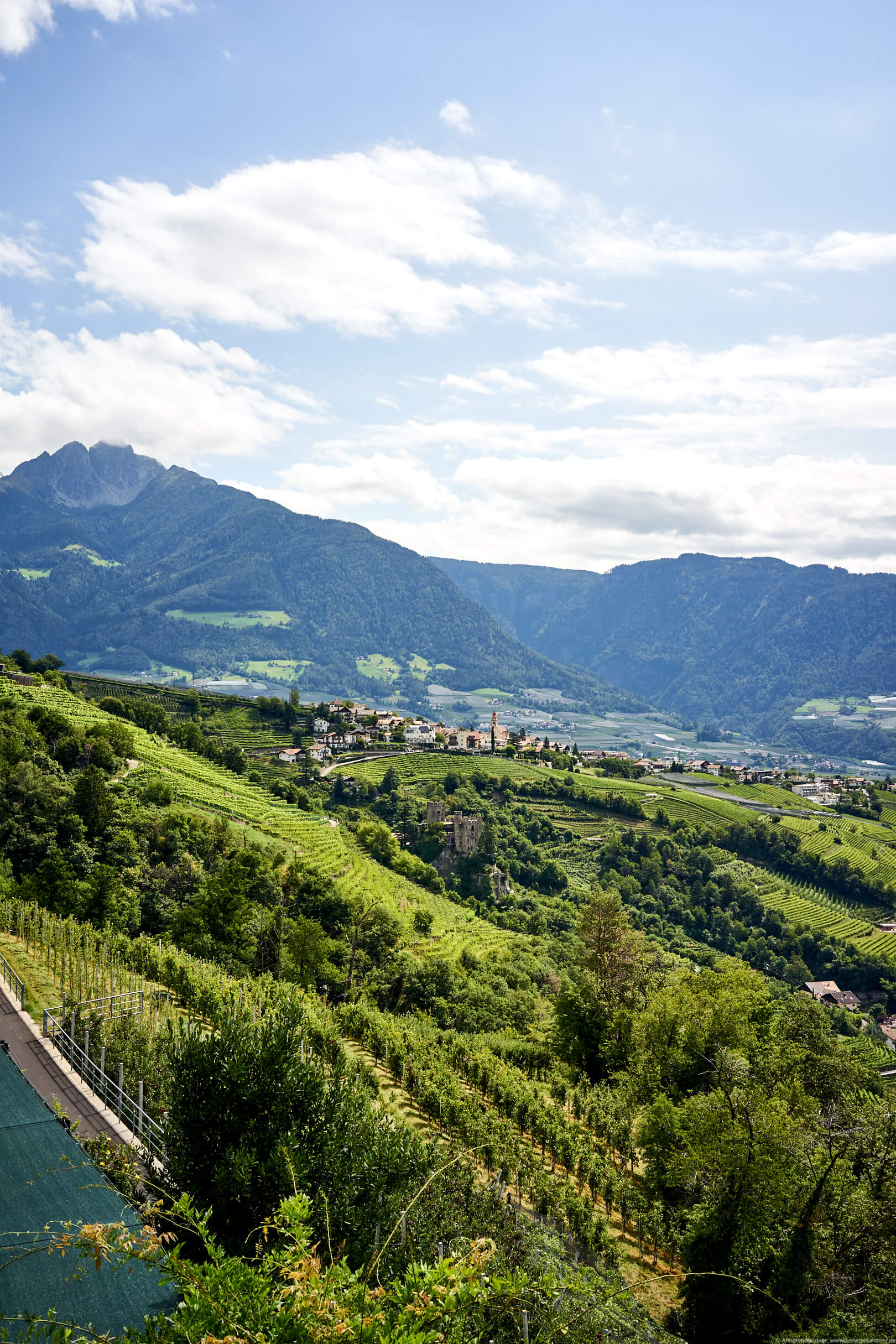 Blick über Meran vom Hotel Kronsbühel, Dorf Tirol, Meran, Südtirol