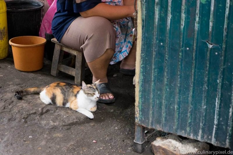 Warorot Market, Chiang Mai, Thailand