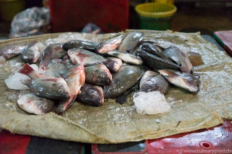 Warorot Fisch Market, Chiang Mai, Thailand