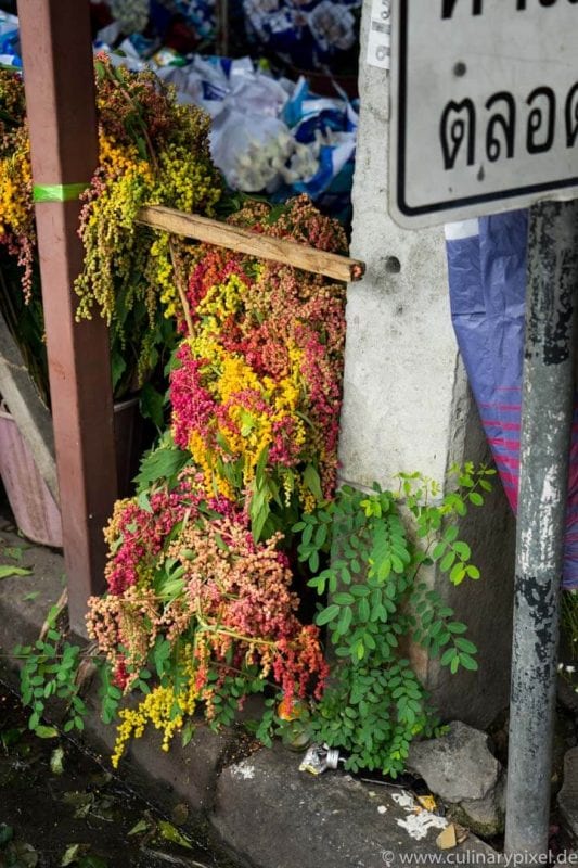 Ton Lam Yai Flower Market, Chiang Mai Thailandd