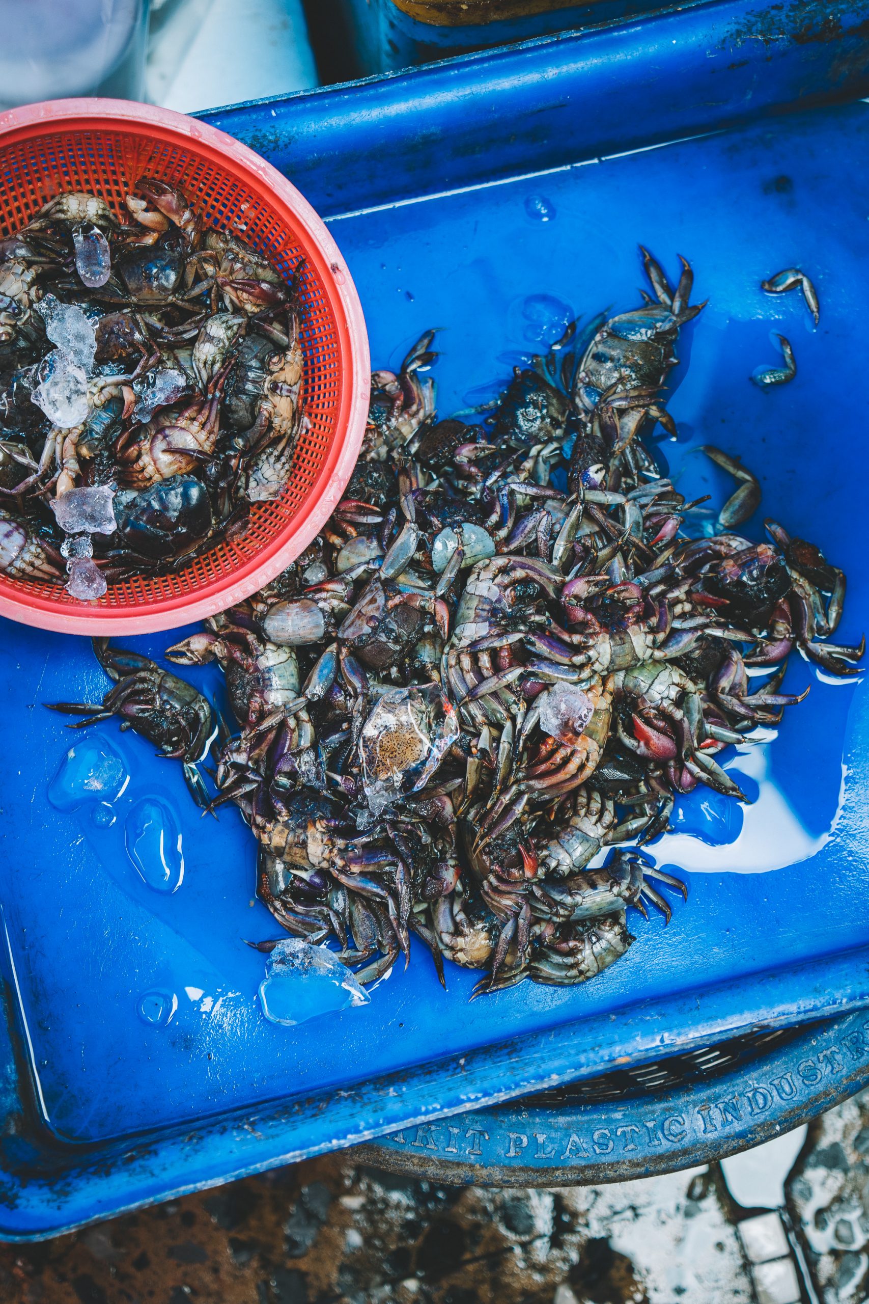 Khlong Toei Market Bangkok Thailand