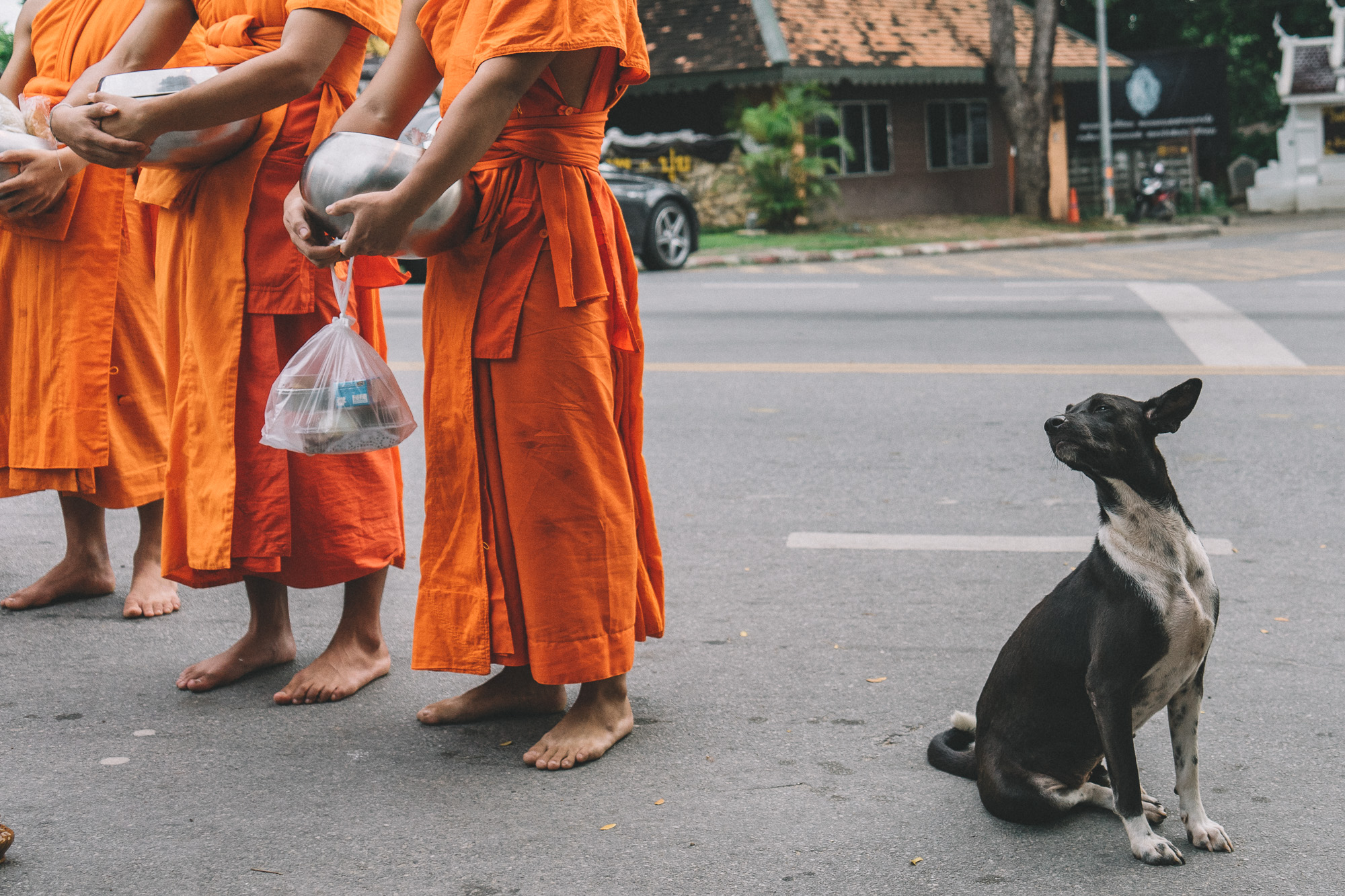 Tempeltour Chiang Mai - Opfergaben