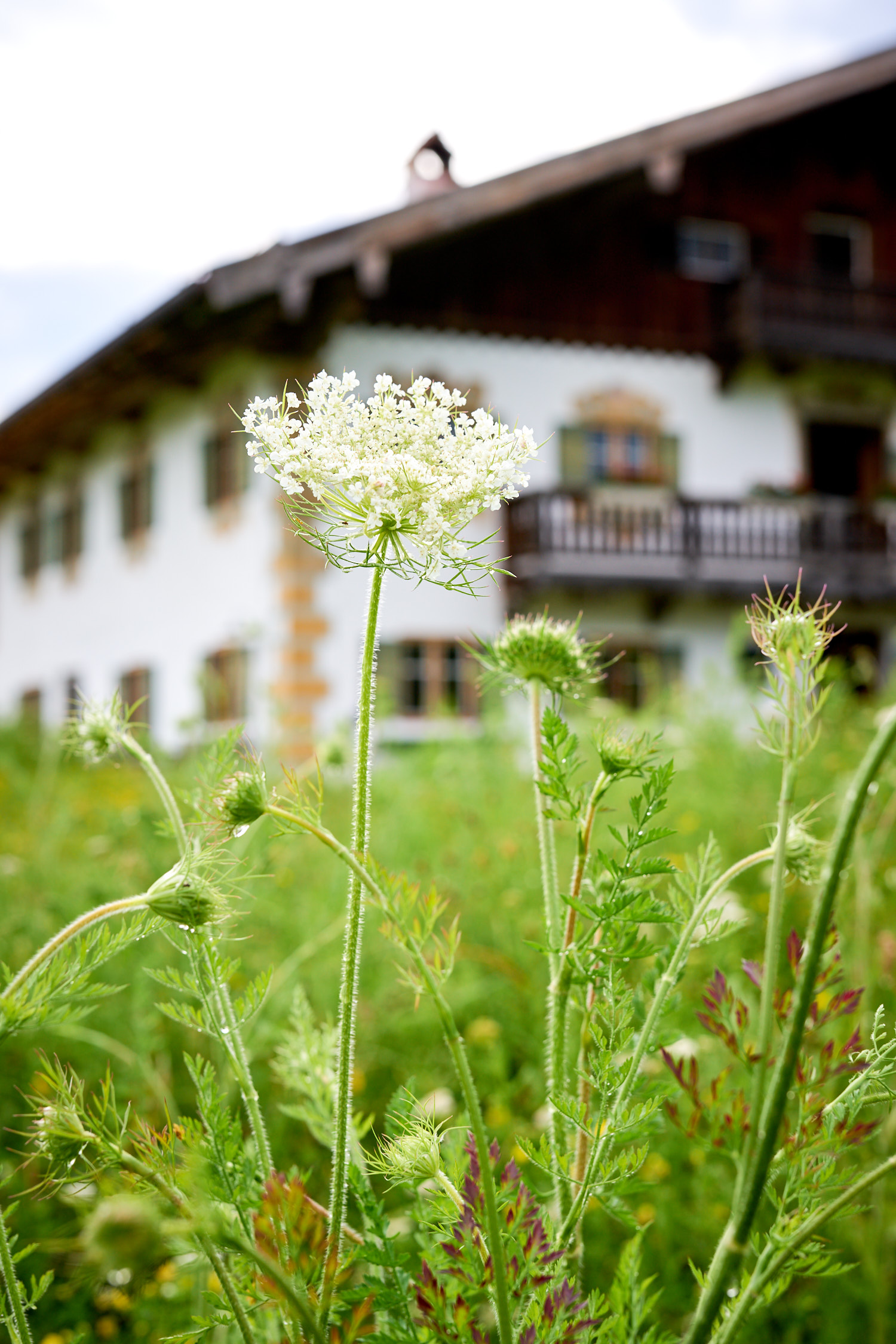 Bauernhaus auf Gut Sonnenhausen